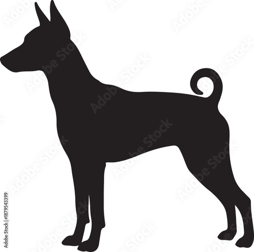 Bella dog in silhouette white background.