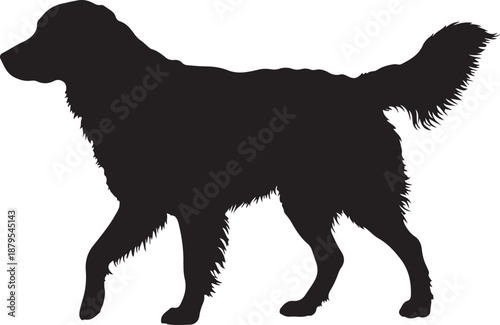  Lucy dog in silhouette white background.