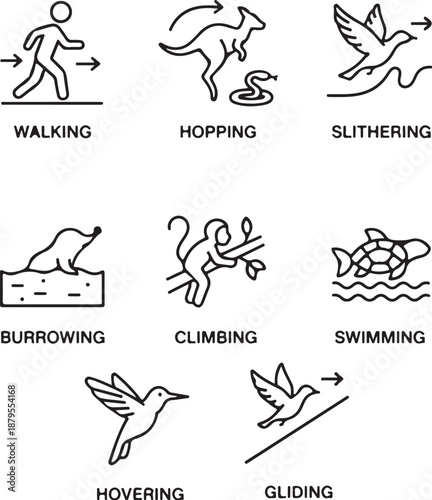  Animal movement mechanics line icons showing walking, hopping, slithering, flying, gliding, burrowing, climbing, swimming, hovering