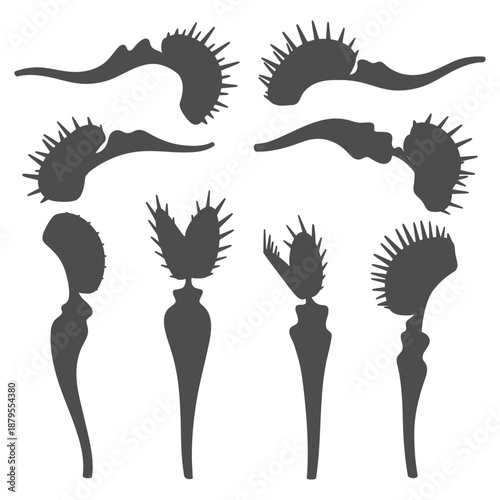 Set of black and white illustrations of venus flytrap. Isolated vector objects.