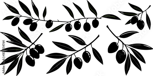 A collection of olive branch illustrations on a transparent background, featuring various arrangements and orientations. The branches display green leaves and olives, with some olives being green and 