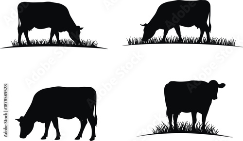 Cow silhouette grazing in field, black cattle illustration, farm animal design, rural agriculture concept, livestock icon, nature pasture art