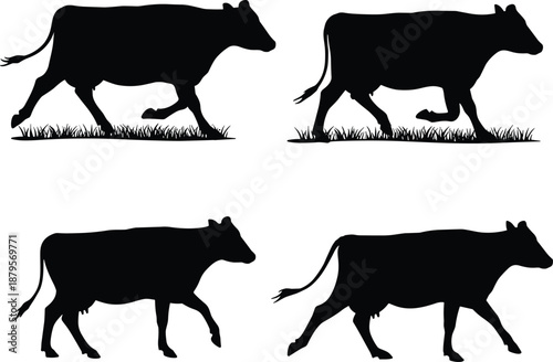 Cow walking silhouettes in motion, livestock illustration set, rural agriculture scene, farm animal design, black vector artwork, pastoral concept