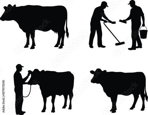 Dairy farming silhouettes with cow and farmer, milk can exchange, rural agriculture scene, black vector illustration, traditional livestock, pastoral design