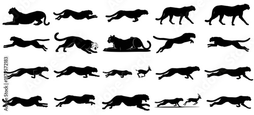 elemental speed a visual chronicle of africas swiftest hunter, sculpting pure instinct in motion set, vector isolated on transparent background