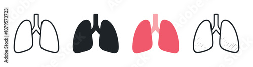 Highlighted lungs: focus on respiratory health and medical analysis