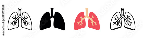 Highlighted human lungs on black background