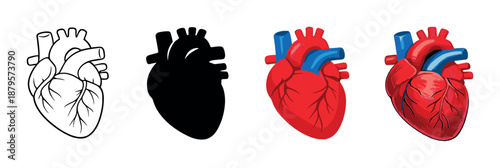 Evolution of heart illustration from sketch to glowing 3d effect