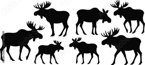 Moose silhouettes, wild animal shapes, black vector icons, antlered mammals, forest wildlife, nature clipart, elk design, animal bundle, outdoor creature, silhouette set, wildlife illustration,