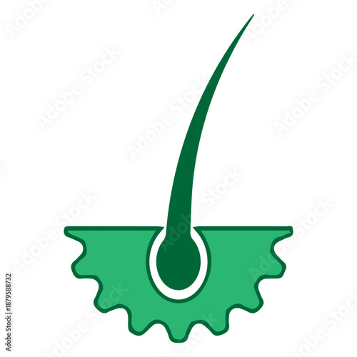 Hair follicle icon