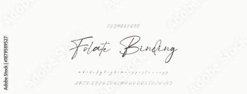 Signature Font Uppercase Lowercase And Number. Script Font Calligraphy Logotype  elegant Font Type Font lettering handwritten. vector illustration