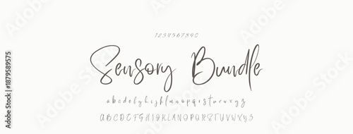 Signature Font Uppercase Lowercase And Number. Script Font Calligraphy Logotype  elegant Font Type Font lettering handwritten. vector illustration