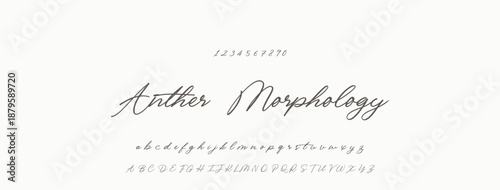 Signature Font Uppercase Lowercase And Number. Script Font Calligraphy Logotype  elegant Font Type Font lettering handwritten. vector illustration