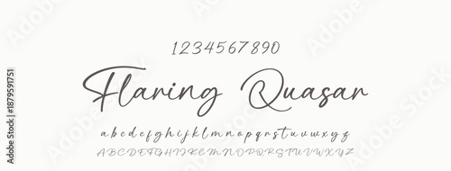 Handwrite signature font Calligraphy Logotype Script Brush Font Type Font lettering handwritten.