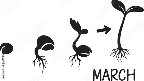 Seed Germination and Growth Process in March Illustration