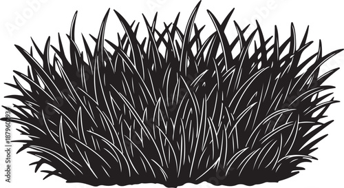 Black Grass Silhouette Against White Background Illustration Design