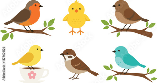 Cute colorful birds cartoon icons set perched on branches and cup for nature illustration design