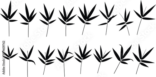 Bamboo leaves silhouette collection with minimalist botanical plant branches isolated on white background illustration