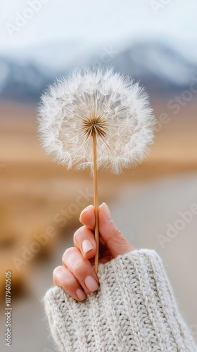 Hand holding giant dandelion seed head reflecting acceptance, letting go, and new beginnings in nature