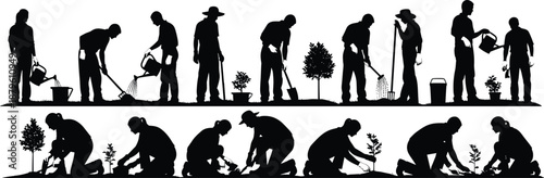 Gardeners planting and watering trees silhouettes, people gardening activities sequence isolated on white background illustration