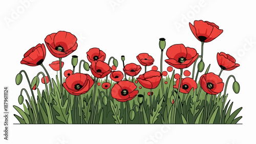 Vibrant red poppies bloom amidst lush green foliage and delicate buds against a clean white backdrop