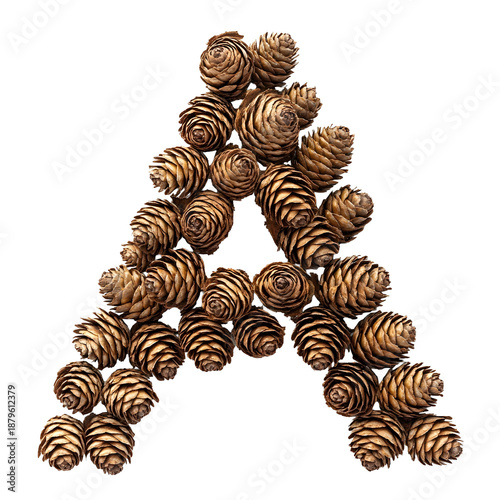 Top View of Letter A Made of Pine Cones Isolated on Transparent Background