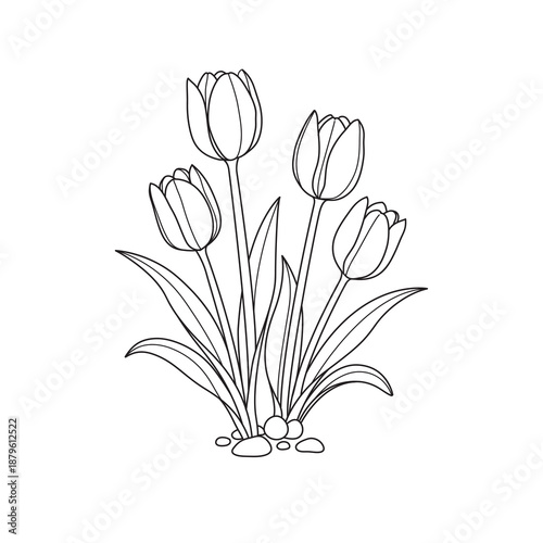 A bouquet of tulips with black stripes on a white background.