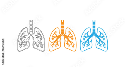 Human lungs anatomy in orange and blue neon lights