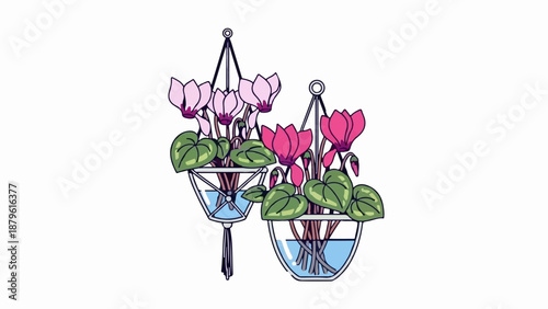 Two hanging planters with blooming pink and fuchsia flowers and green leaves in water