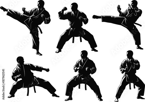 Karate Silhouettes – Gi-Clad Combat Poses & Techniques