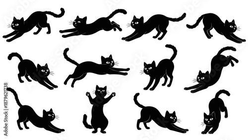 Collection of black cat silhouettes in various playful poses.