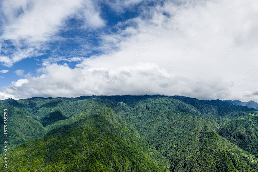 Naklejka premium Majestic green mountain range covered with dense forest under a bright blue sky with white clouds.