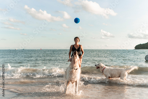 Photography Woman playing with golden retriever dogs at beach