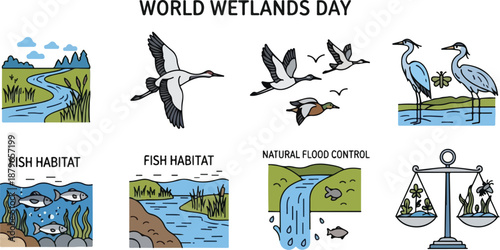 Wallpaper Mural Infographic illustration set for World Wetlands Day featuring icons of birds, water, and ecological balance. Torontodigital.ca