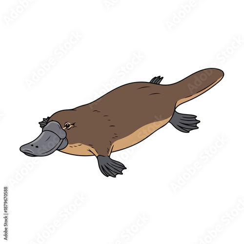 Cartoon Style Illustration of a Platypus Animal on White