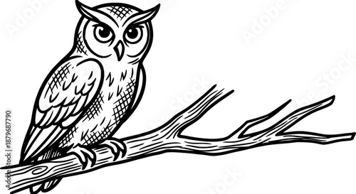 Vintage Engraved Owl on Branch - Black and White Woodcut Style Illustration of a Wise Forest Bird Perched on a Tree Limb