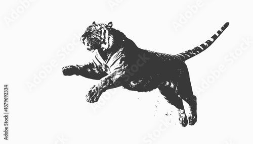 A black and white illustration of a tiger mid-leap, roaring and displaying aggression