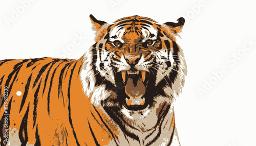A roaring tiger with black stripes on orange fur and open mouth with a white background