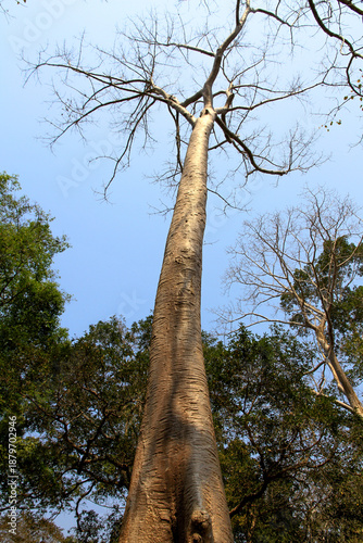 Angkor, Cambodia. Views from inside and outside the Angkor Wat temple.