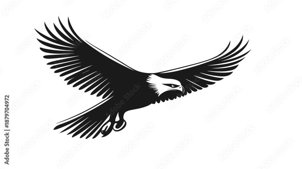 Obraz premium Black and White Eagle in Flight 2.