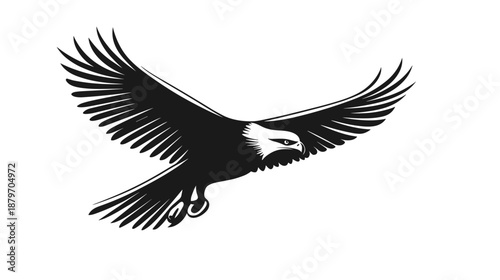 Black and White Eagle in Flight 2.