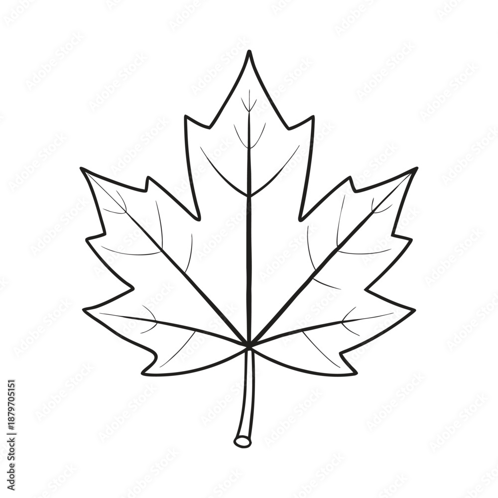 Obraz premium Vibrant red maple leaf glowing with autumn warmth, delicate veins and crisp edges capturing fall’s beauty, seasonal change, and natural elegance on a clean, serene background.
