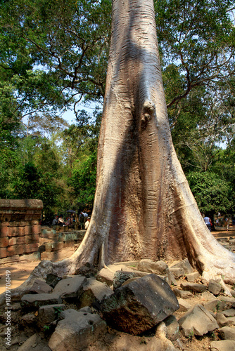 Angkor, Cambodia. Views from inside and outside the Angkor Wat temple.