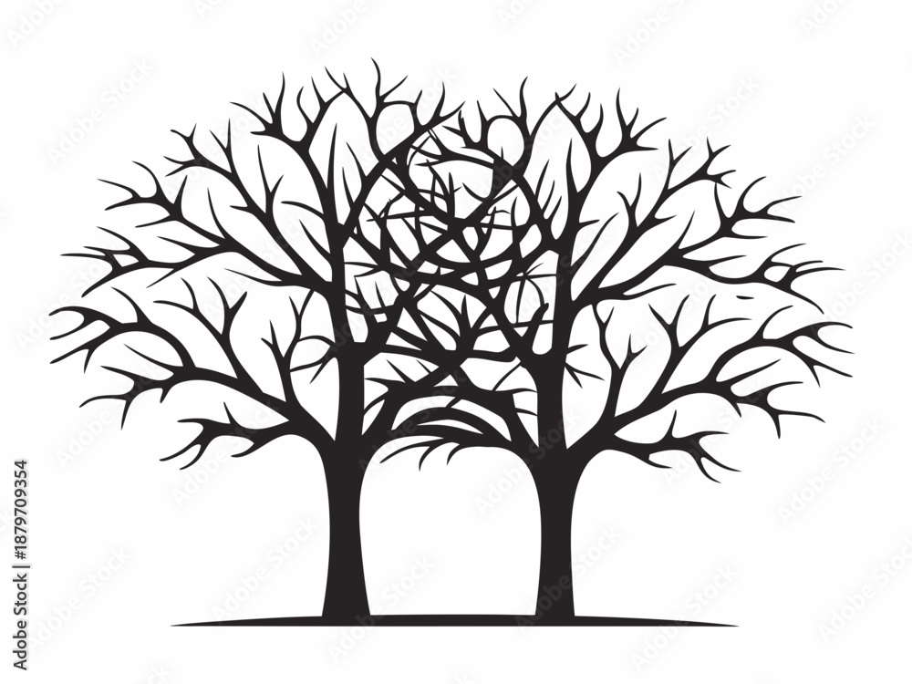 Fototapeta premium Silhouette of bare trees with intricate branches against a white background