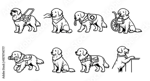 Assistive dogs: roles and equipment in various scenarios