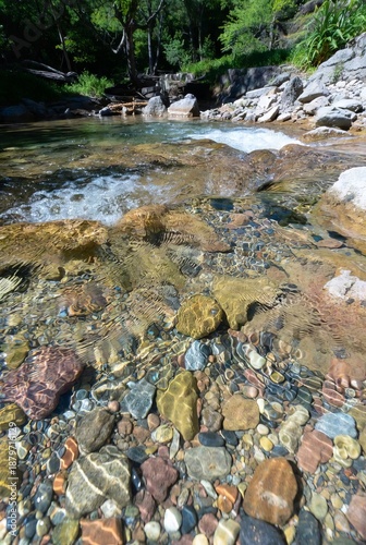 river in the forest with a closeup of stones under shallow water