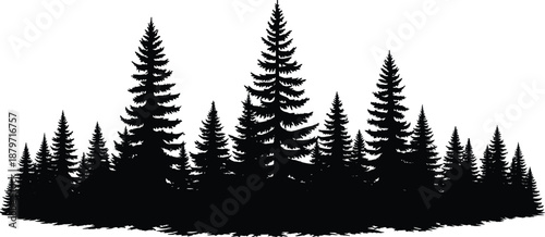 Detailed black silhouette of a pine forest panorama with evergreen conifer trees and spruce timber woodland isolated on white for rustic nature landscape design. (24 words)