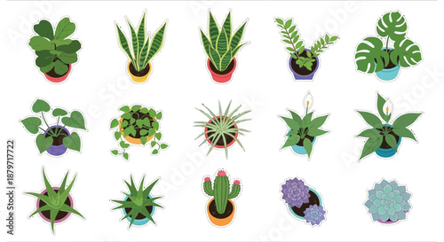 a collection of potted plants on a white background