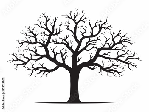 A stark silhouette of a bare tree against a white background