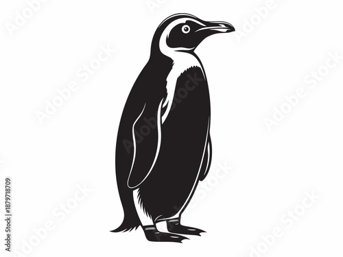 Elegant penguin illustration a black and white depiction of antarctic wildlife